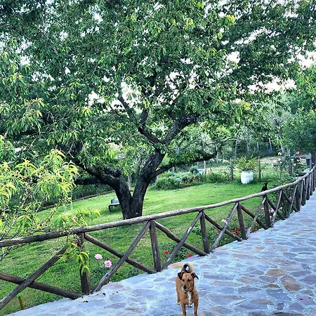 Casale Sant'egidio - Di Bolsena